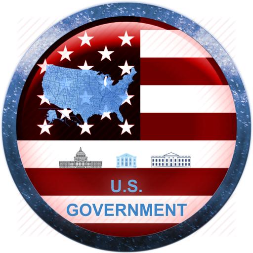 US Government Simulation